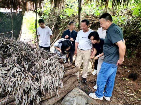 省农业农村厅“农业文化遗产资源调查” 专家组到随州调研